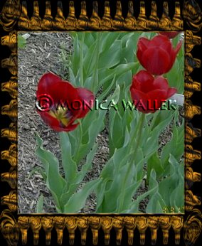 another pattern frame