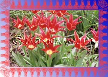 red details on a blue gradient frame
