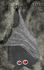 Finished hanging bat bat hanging upside down in cave wrapped in wings