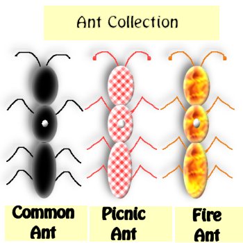 Common, picnic and fire ants done in basic black, picnic plaid and fire tube; all are properly labelled and pinned.