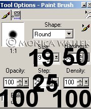 paintbrush.jpg - 16867 Bytes