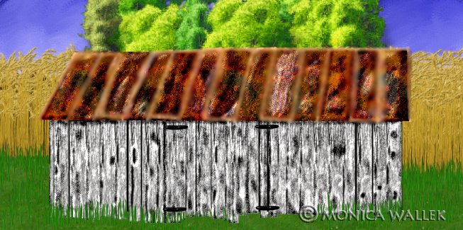 Shed on edge of grain field