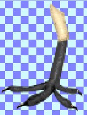 you are not seeingthe legs added