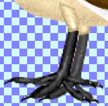 you are not seeing the front leg added