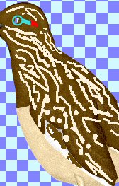 you are not seeing the markings added to the bird