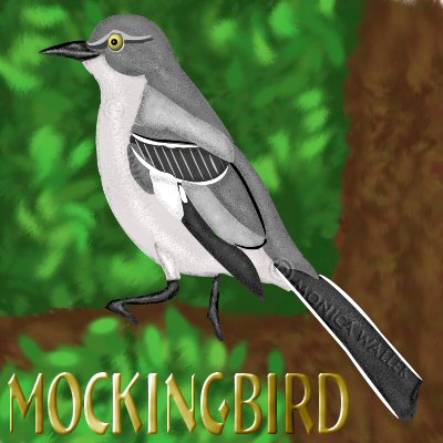 you are not seeing the mockingbird sitting on a tree branch