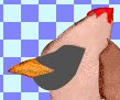 Steps 8-10 completed you are not seeing the bird head