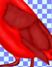 steps 7-8 completed you are not seeing the wings added to the image