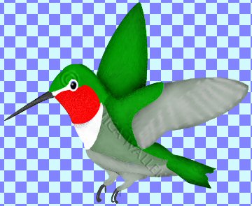 steps12-16 completed you are not seeing the completed bird