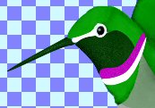 you are not seeing the bird after adding the head and other details