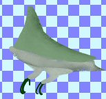 you are not seeing the bird with the feet, thighs and lower body added