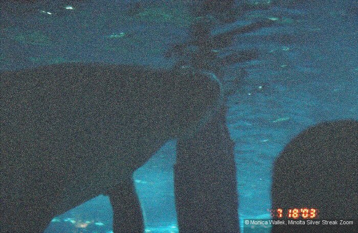 8024500-R3-048-22A_048